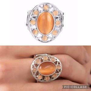 🐾 Sunny Solstice ✨